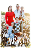 AC076ChristmasCard2015hamby