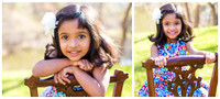 Ashvini blog