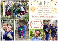 fall_MINI2019